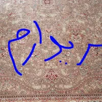 فرش ۶ متری ۷۰۰ شانه|فرش|کنگاور, |دیوار