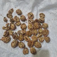 مغز گردو ایرانی|عمدهفروشی|کاشان, پشت شهربانی|دیوار