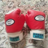 فروش دستکش بوکس|تجهیزات ورزشی|نورآباد, |دیوار