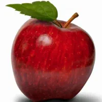 سیب درختی درجه یک صادراتی