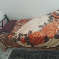 تخت خواب یک نفره با تشک