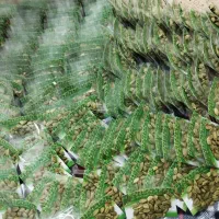 پخش عمده ادویه جات به صورت کلی و جزئی|خوردنی و آشامیدنی|شوشتر, |دیوار