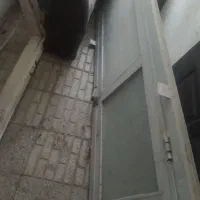 درب سرویس