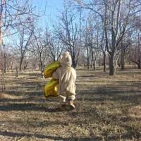 سرهمی کودک