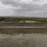 کارگر گل چینی و باغ