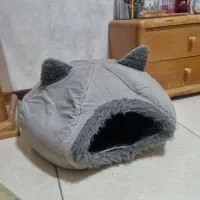 جای خواب گربه