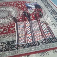 یک عدد جل و ورسینه موجود است