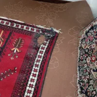 قالی دستباف ایران|فرش|شوش, |دیوار