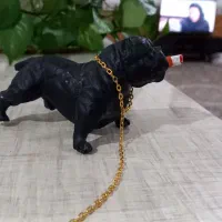 پیت پول داشبورد|اسباب‌بازی بچه|سیلاخور, |دیوار