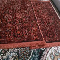 پادری