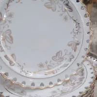 چینی آلمانی شکیل وزیبا