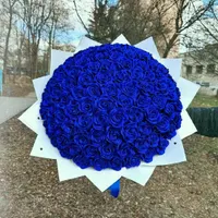 گل ربان|گل مصنوعی|گرگان, |دیوار