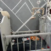 تخت و نی نی لالای  کودک نو