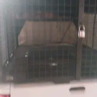 وانت پراید۱۴۰۳ بدون رنگ