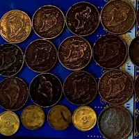 کلکسیون|کلکسیون سکه، تمبر، اسکناس|رشت, جانبازان|دیوار