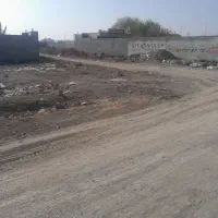 زمین ۲۴۰متری نقلی کامرانیه ملک اباد