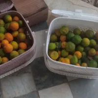 نارنگی (کرمانتین)