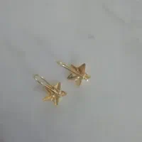 گوشواره شیک وزن سبک