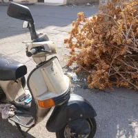 باجاج 150|موتورسیکلت|فردیس, شهرک راه آهن|دیوار