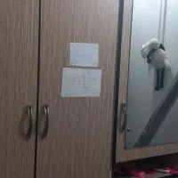 سوئیت ۶۰ متری یک خواب فلکه گاز|فروش آپارتمان|رشت, لاکان|دیوار