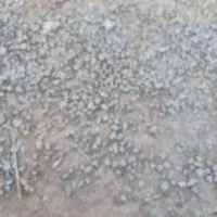 کیف گمشده