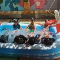 فستیوال اب و کف