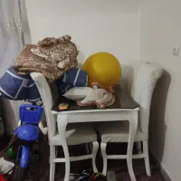 قفسه و ناهارخوری