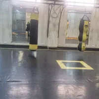 اجاره سانس