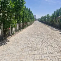 باغ وباغچه/چهاردیوارقدیمی/کاسبی هشتگرد