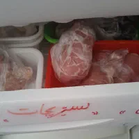 یخچال فریزر|یخچال و فریزر|کرج, شهرک جهان‌نما|دیوار