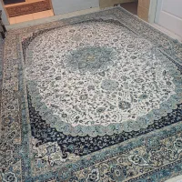 12متری پاتریس