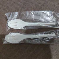 قاشق و چنگال گیاهی