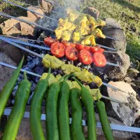 واگذاری تهیه غذا با اعتبار بالا