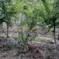 زمین 1000 متری در جاده چالوس کلوان|فروش زمین و ملک کلنگی|کرج, عظیمیه|دیوار