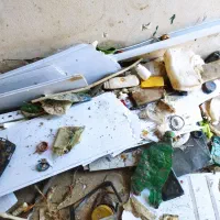 استخدام کارگر جهت بازیافت پلاستیک