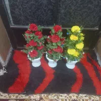 سلام  گل مصنوعی|گل مصنوعی|خرمشهر, |دیوار