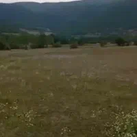 زمین-کشاورزی-اسلام-آباد-کجور