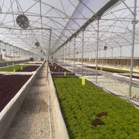 اجار ه و فروش گلخانه هیدروپونیک  کاهو فرانسوی|فروش دفتر صنعتی، کشاورزی، تجاری|گرمدره, |دیوار