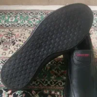 کفش مردانه چرم|کیف، کفش، کمربند|آمل, |دیوار