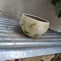 فروش سه عدد گلدان|گل و گیاه طبیعی|شیراز, شهرک مطهری|دیوار