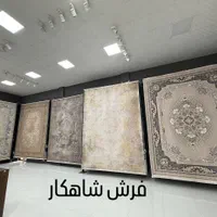 فرش۷۰۰شانه تراکم ۲۵۵۰ده رنگ ژیوا روناسیhcp