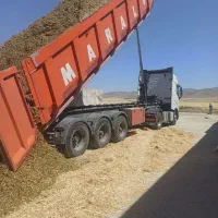 کلش ذرت علوفه ای یونجه کاه