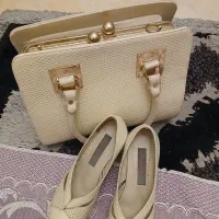 کیف و کفش ست ایتالیایی|کیف، کفش، کمربند|تهران, آذری|دیوار