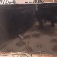 تلویزیون سامسونگ ۴۸ اینچ و اسنوا ۵۵ اینچ|تلویزیون و پروژکتور|تاکستان, |دیوار