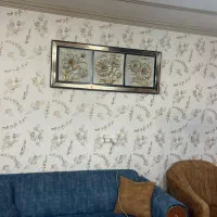 اجاره واحد مسکونی|اجارهٔ آپارتمان|آستارا, |دیوار