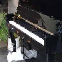 طرح آکوستیکهای جدید