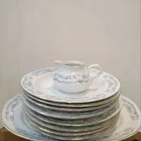 چینی حمید مناسب باغ