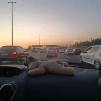 آموزش رانندگی