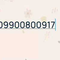 09900800917