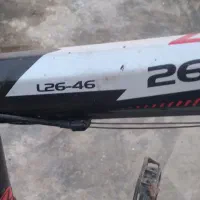 فونیکس ۲۶سایز بزرگ|دوچرخه، اسکیت، اسکوتر|اسالم, |دیوار